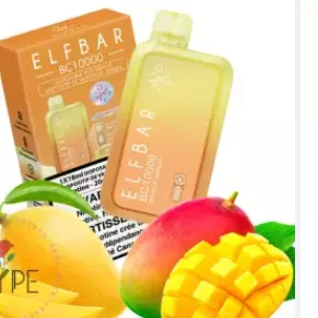 elfbar bc 10000 double mango