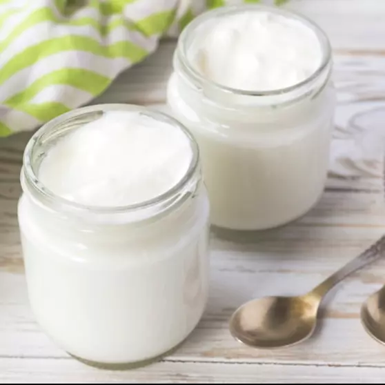 Yogurt Natural