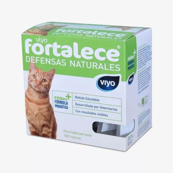Viyo Felino