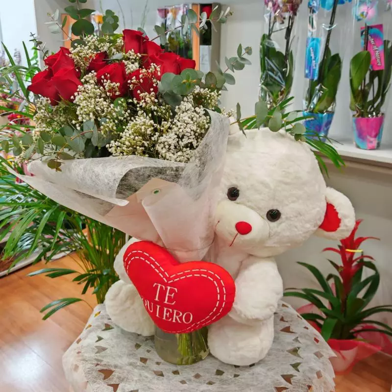 Centro de nacimiento abrazo oso