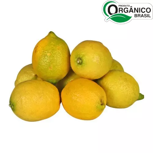 Limão Siciliano Kg