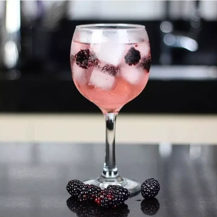 GIN TONICO COM FRUTAS VERMELHAS