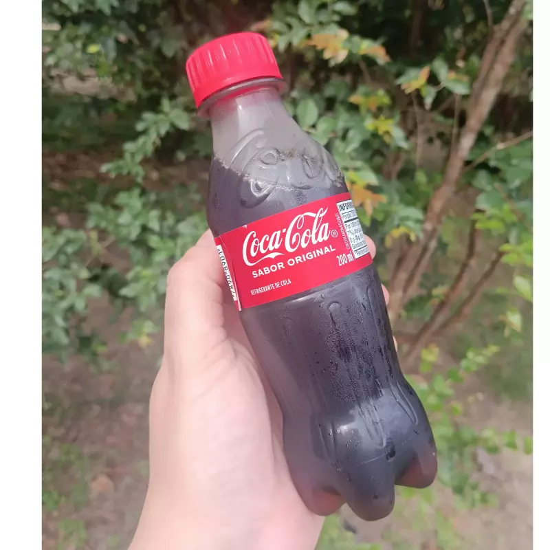 Coquinha