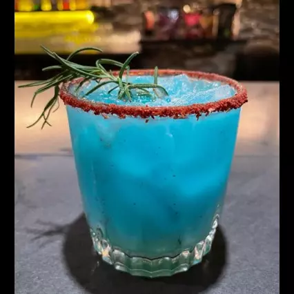 Iguana Azul **NUEVO**