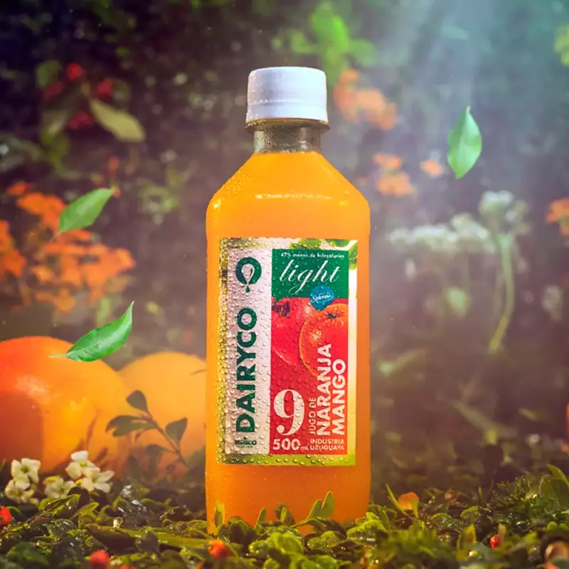 Dairyco Naranja Mango Light 500ml