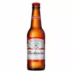 Cerveja Budweiser Longneck