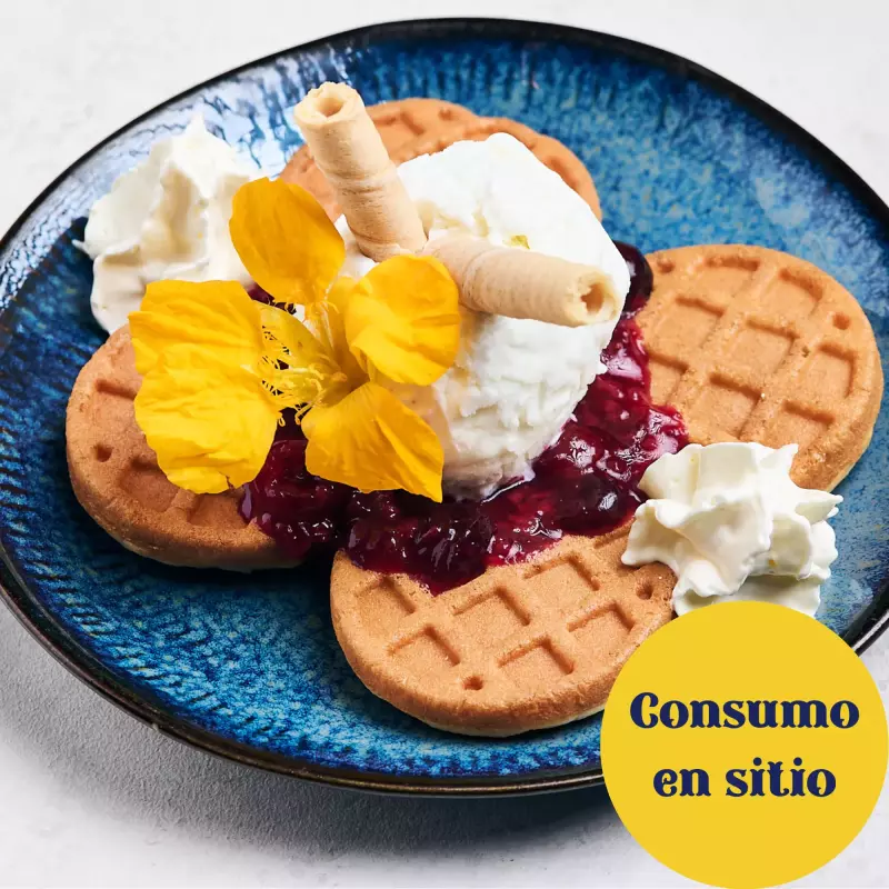 Waffles con Helado