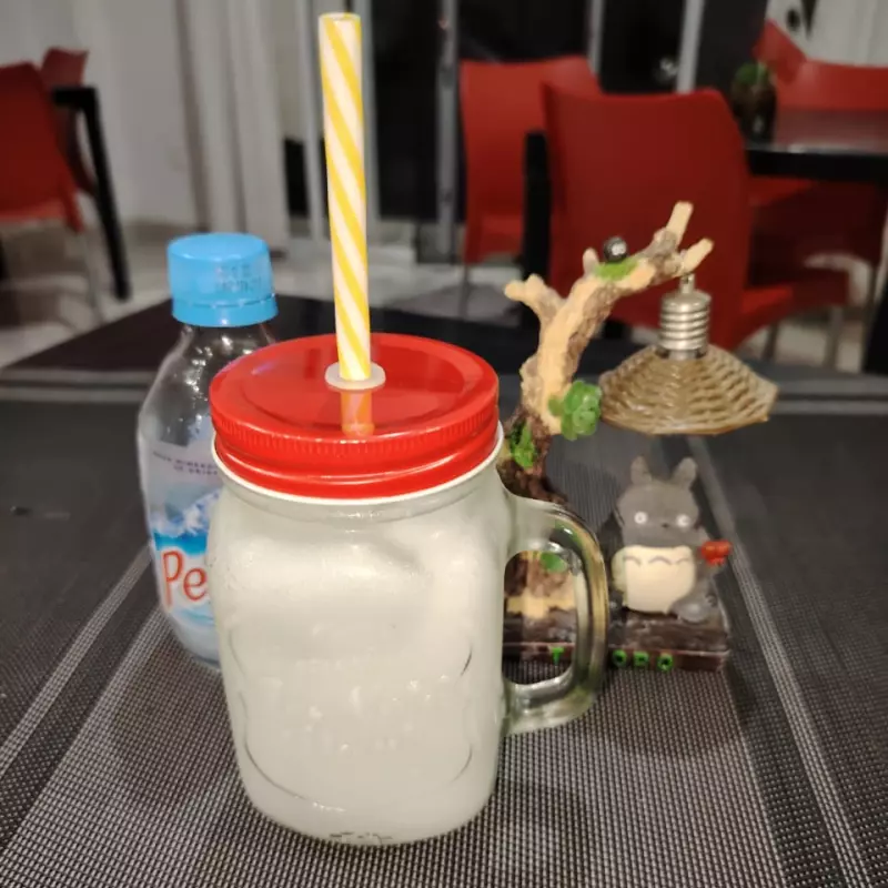 Calpis Soda (500 ml.)