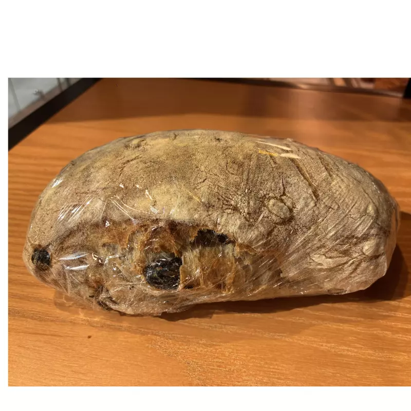 CIABATTA NUEZ UVAS PASAS核桃提子洛代夫