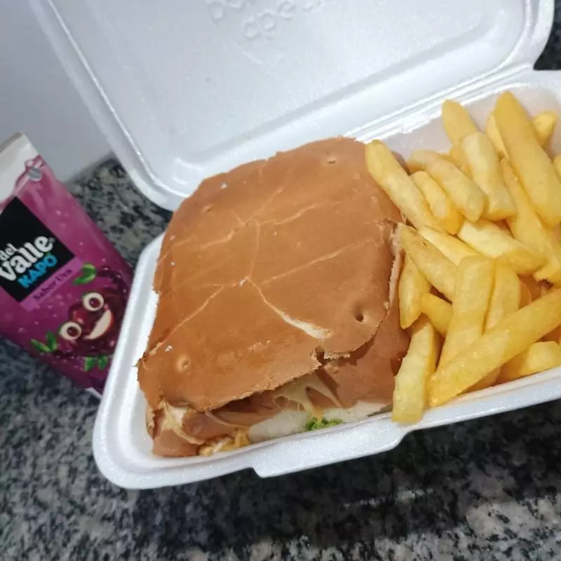 X  Burguer + fritas + capo