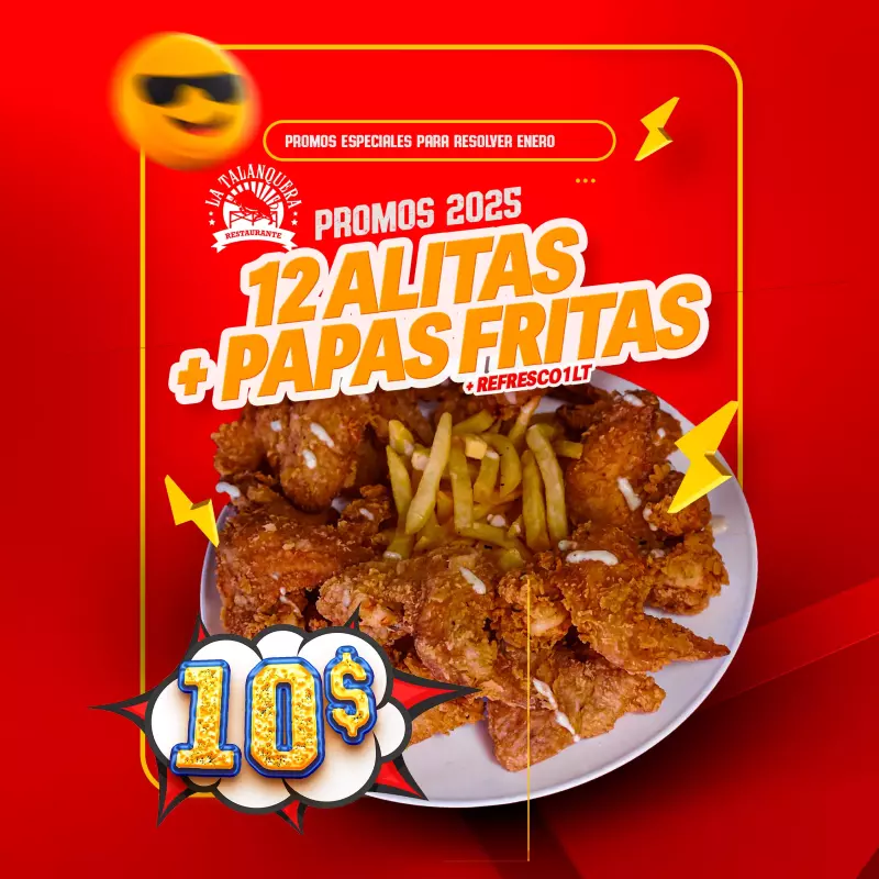 ALITAS BROASTER +PP +REF 1lt