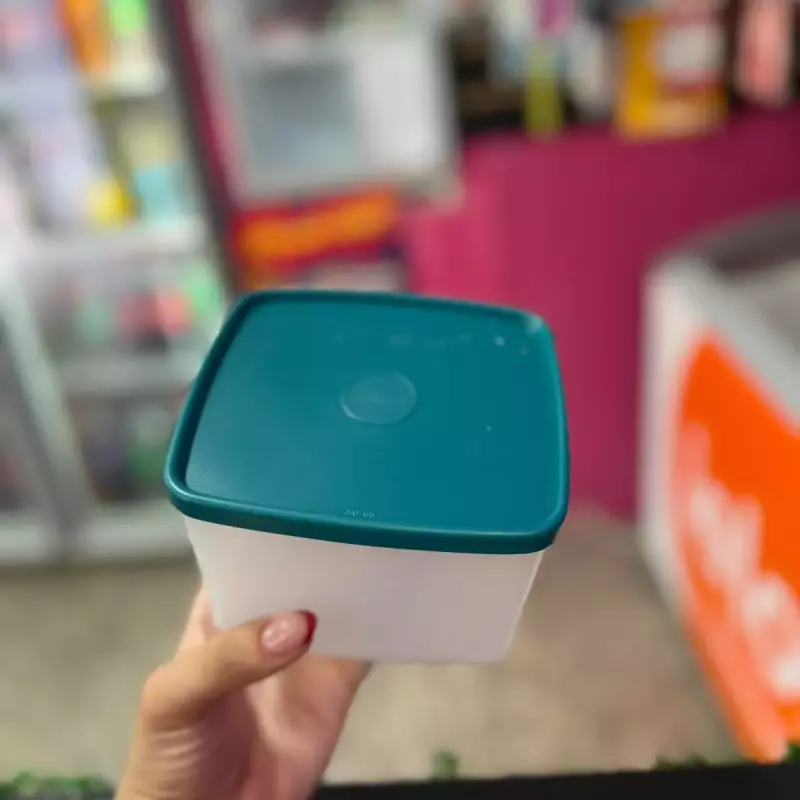 PRACTIREFRI TRANSP VERDE