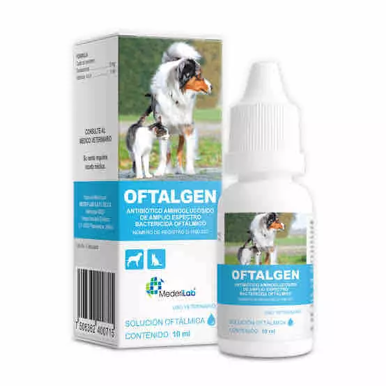 Oftalmico - Antibiótico