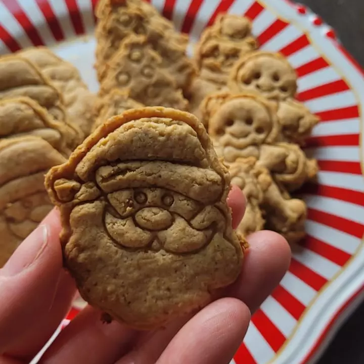 Biscoito de Gengibre 100g