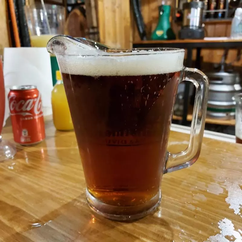 PITCHER ATRAPANIEBLAS