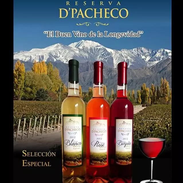 D’PACHECO SELECCION  (BOTELLA ALTA)