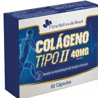 Colágeno tipo 2