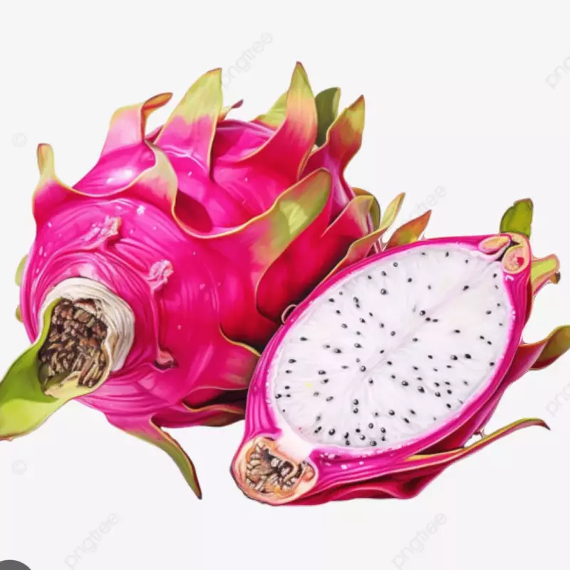 白心火龙果 pitahaya blanca