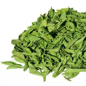 HOJAS DE STEVIA