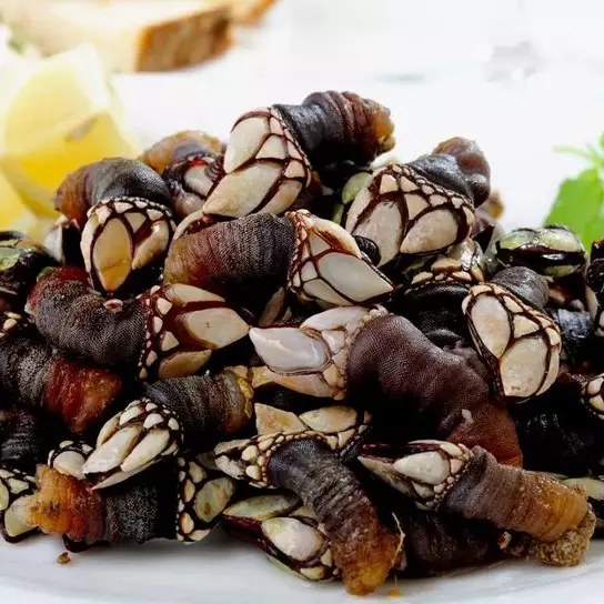 Percebes Cocidos