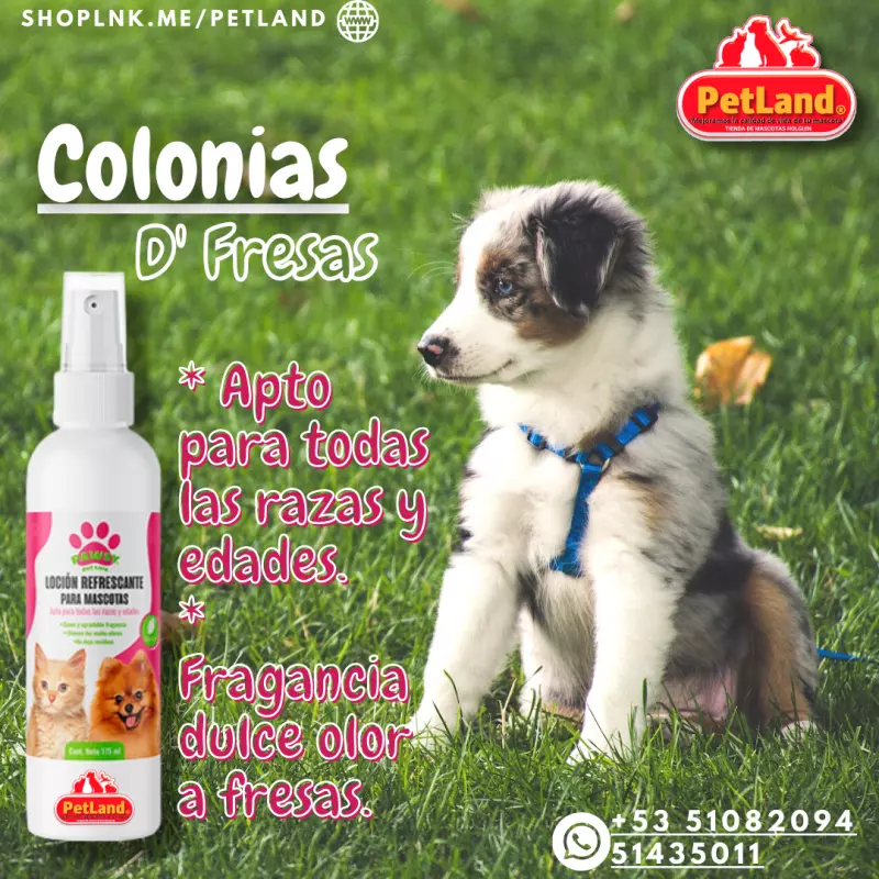 Colonias Pawsy