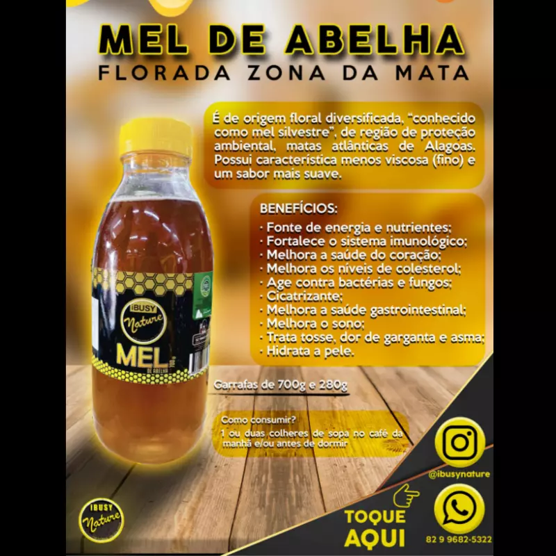 Mel de abelha (280g) 🐝