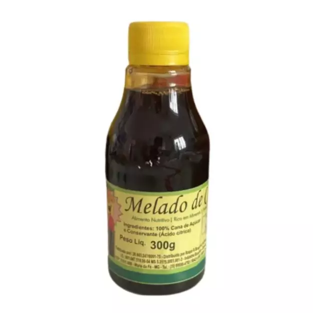 Melado de Cana 300g