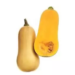 Anco Batata xKG (68)