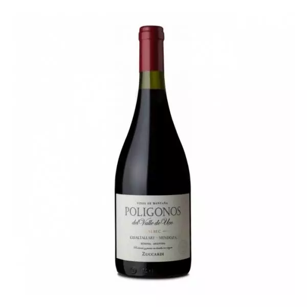 Poligonos Paraje Gualtallary Malbec