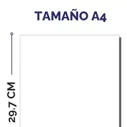 Foto hoja entera B/N