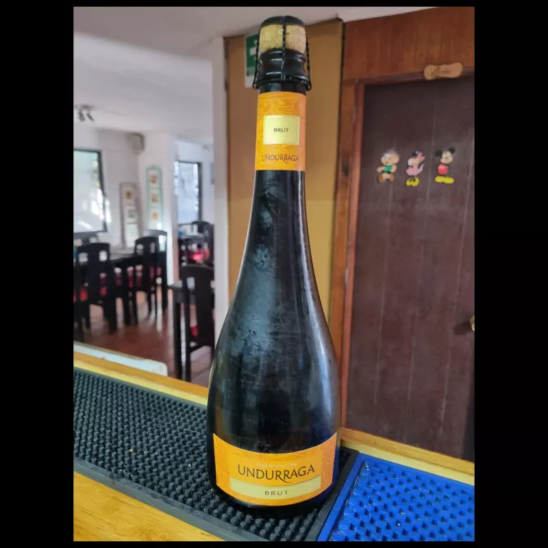 Undurraga Brut