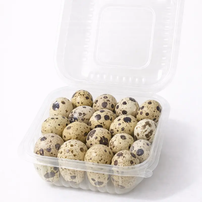 25 HUEVITOS DE CODORNIZ