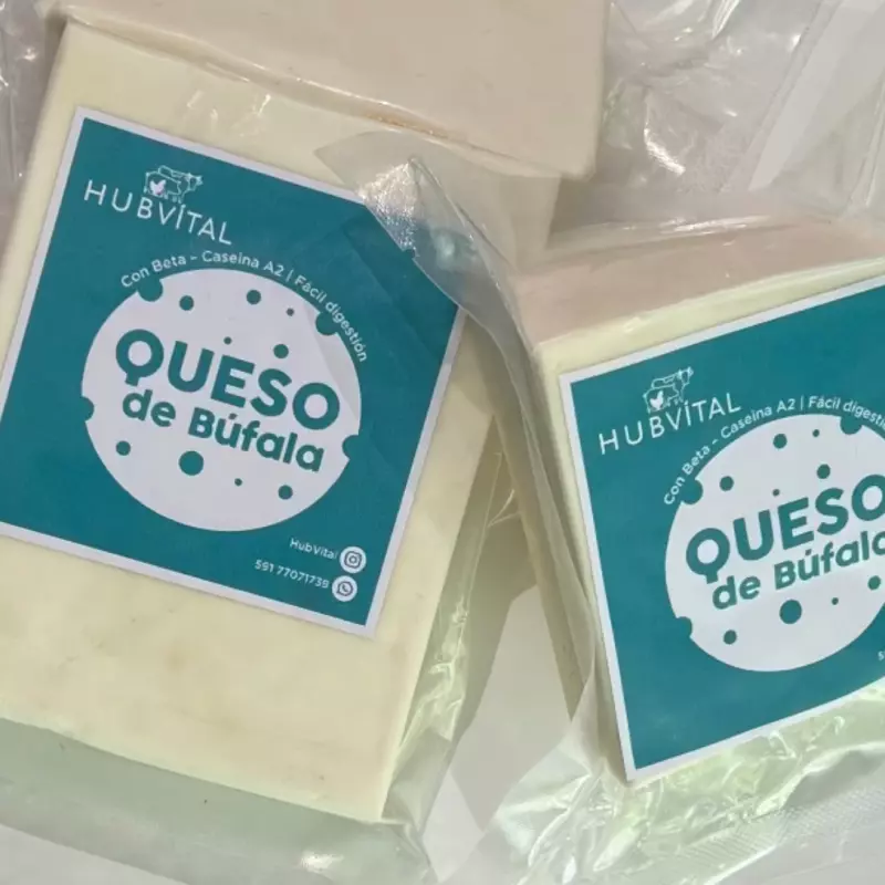 Queso de búfala muzarella