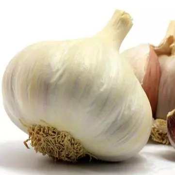 Ajo