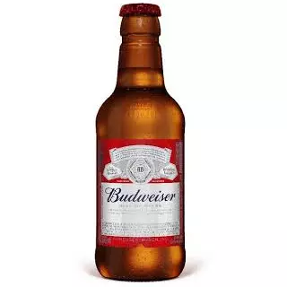 Cerveja Budweiser 330 ml