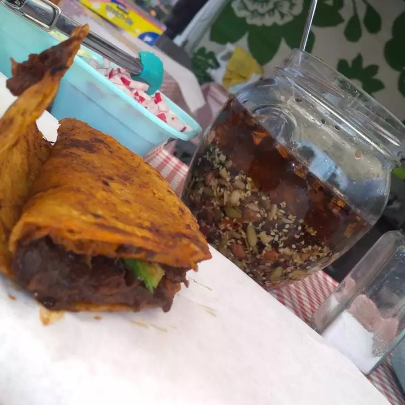 ALAMBRE