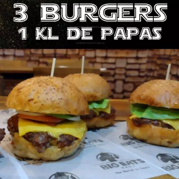 PROMO BURGER