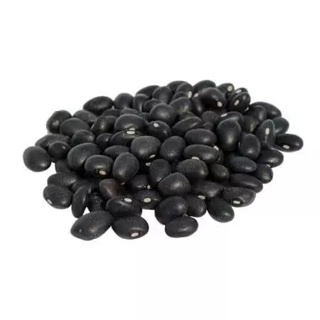 Frijol Negro Nacional x Lb