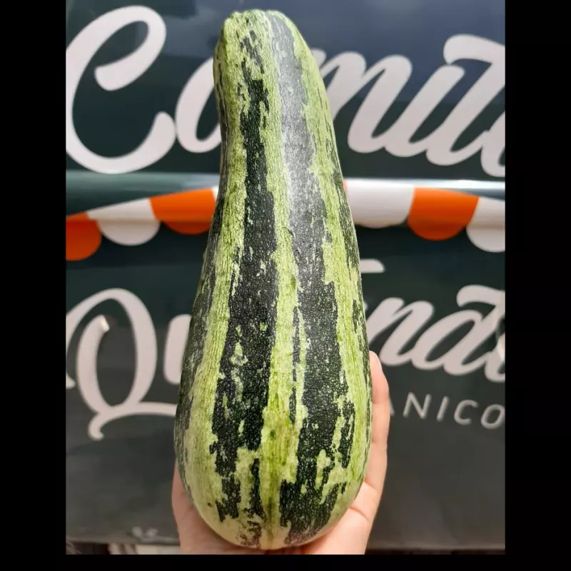 Abobrinha Italiana 500g