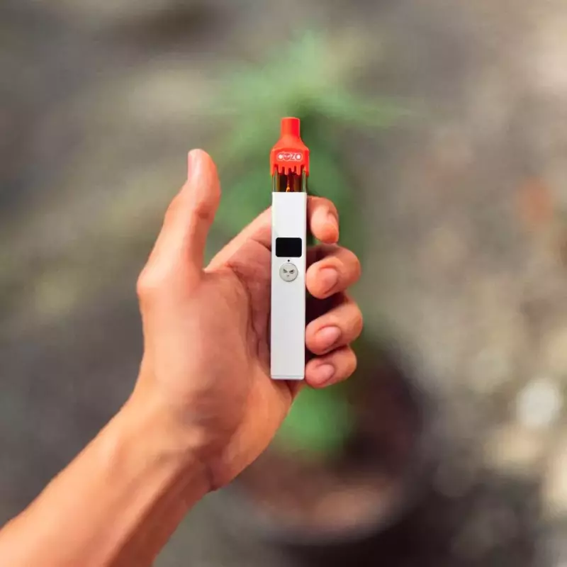 DESECHABLE - DOZO LIVE HASH