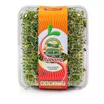 Germinado de Alfalfa con Rábano 200 grs