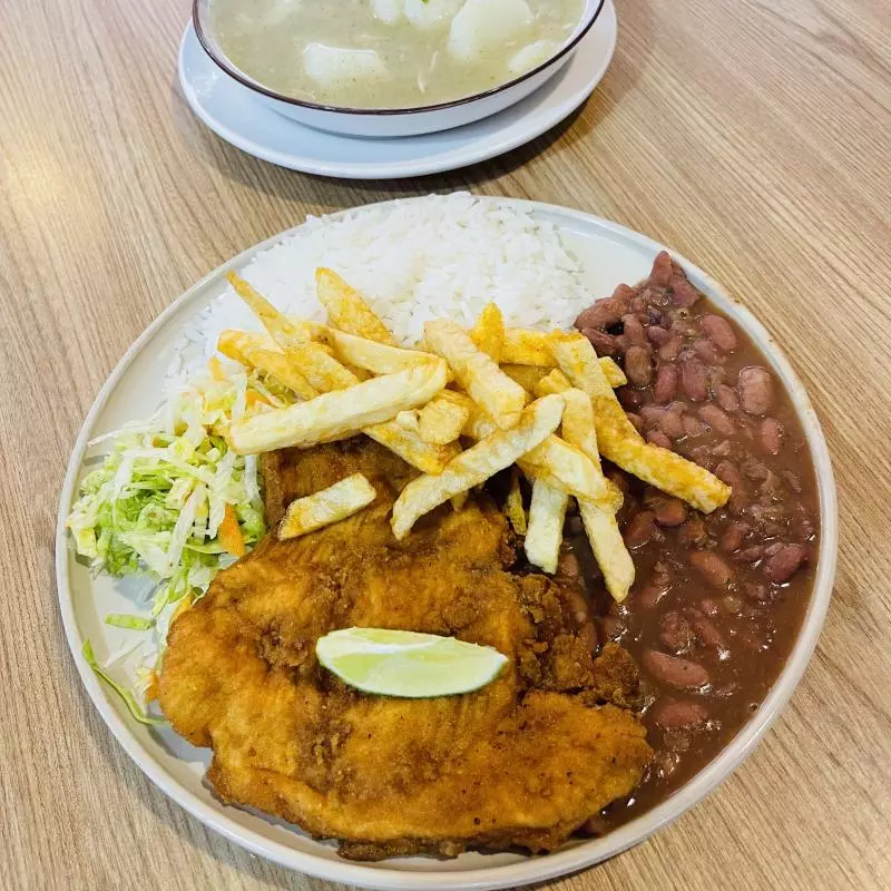 TIQUETERA 15 ALMUERZOS