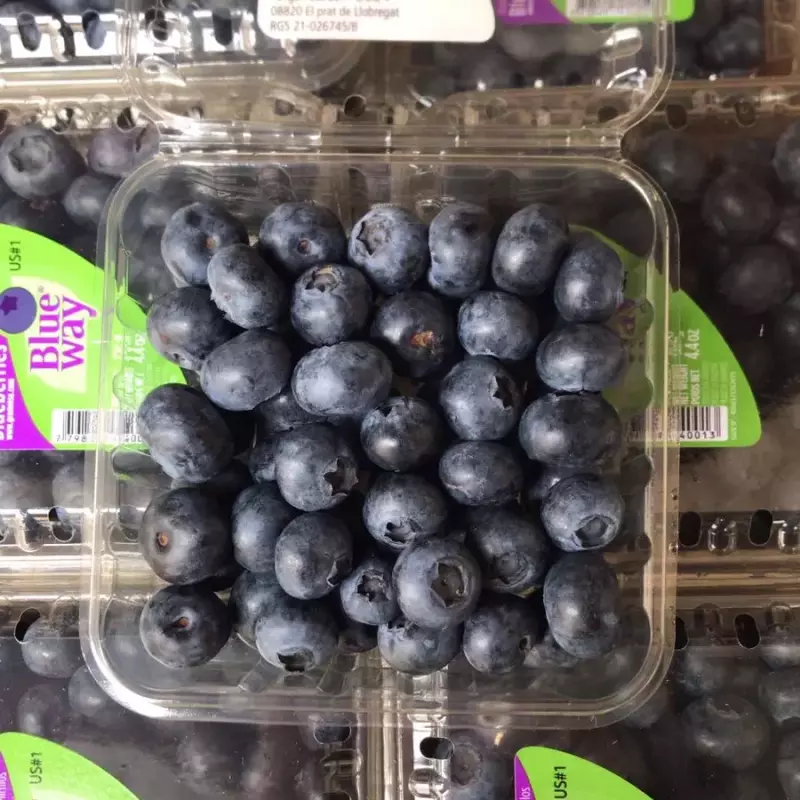 Mirtilos/Blueberry 125g