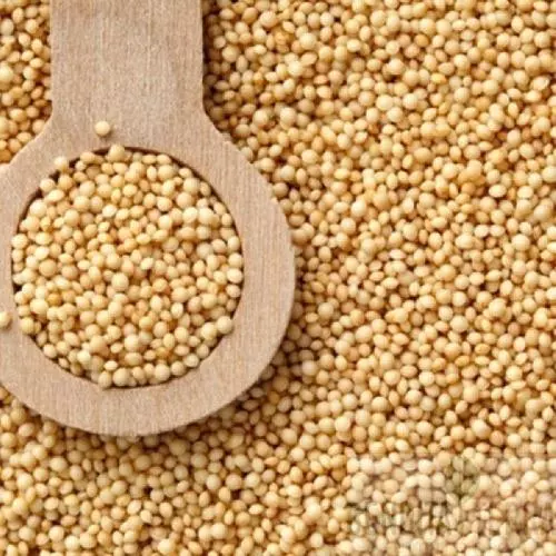AMARANTO EM GRÃOS 100G