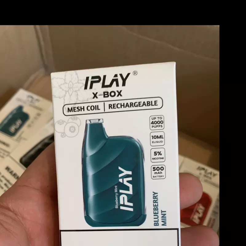 Blueberry Mint 🫐🍬🧊