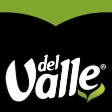 Del Valle lata 290ml