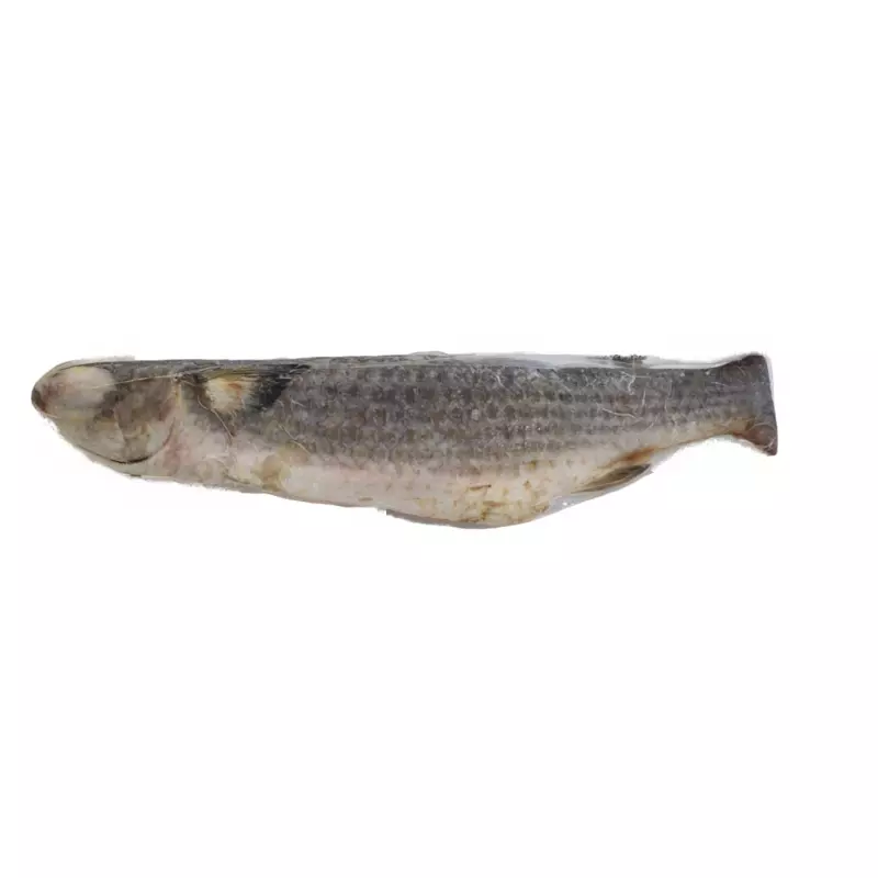 Tainha Eviscerada