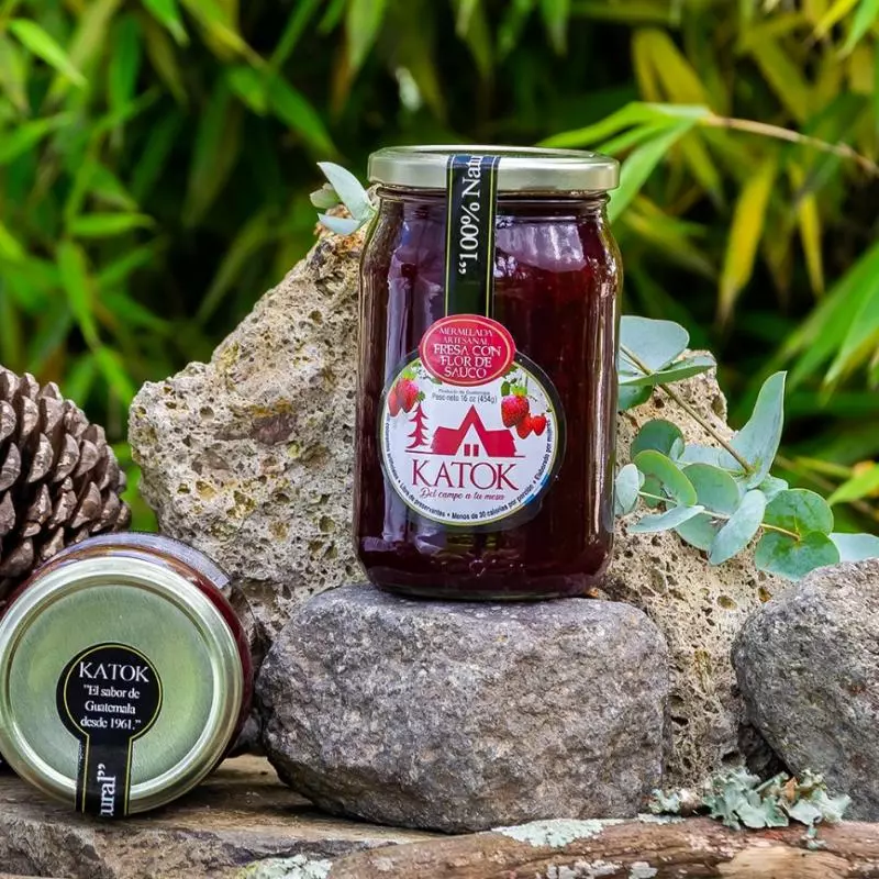 Fresa con Flor de Sauco 16 Onz