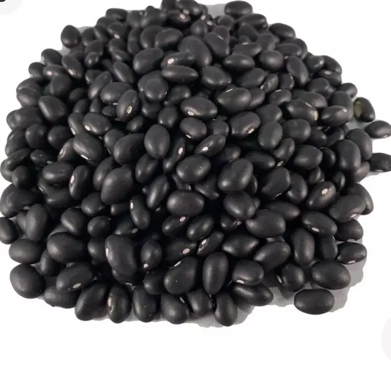 Frijol Negro Americano