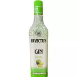 Gin Invictus Maça Verde 900ml